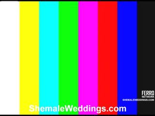Awesome Shemale Weddings movie With Amazing adult film Stars Carol, Lorena, Milena