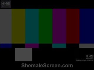 Shemale scherm proudly offers isabele, patricia, rochele in seks film scène